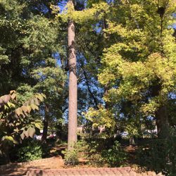 Spring Park - Fall picnic lunch with beautiful vegetation at Spring Park - 65 Degrees - Perfect Weather to be outdoors