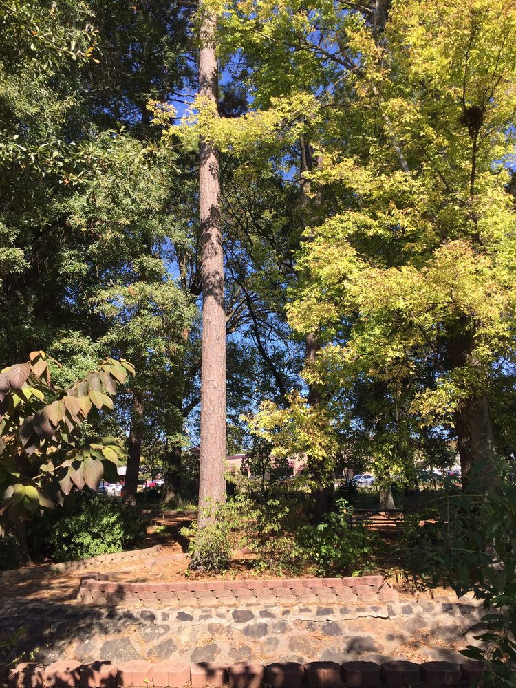 Social spots from Spring Park