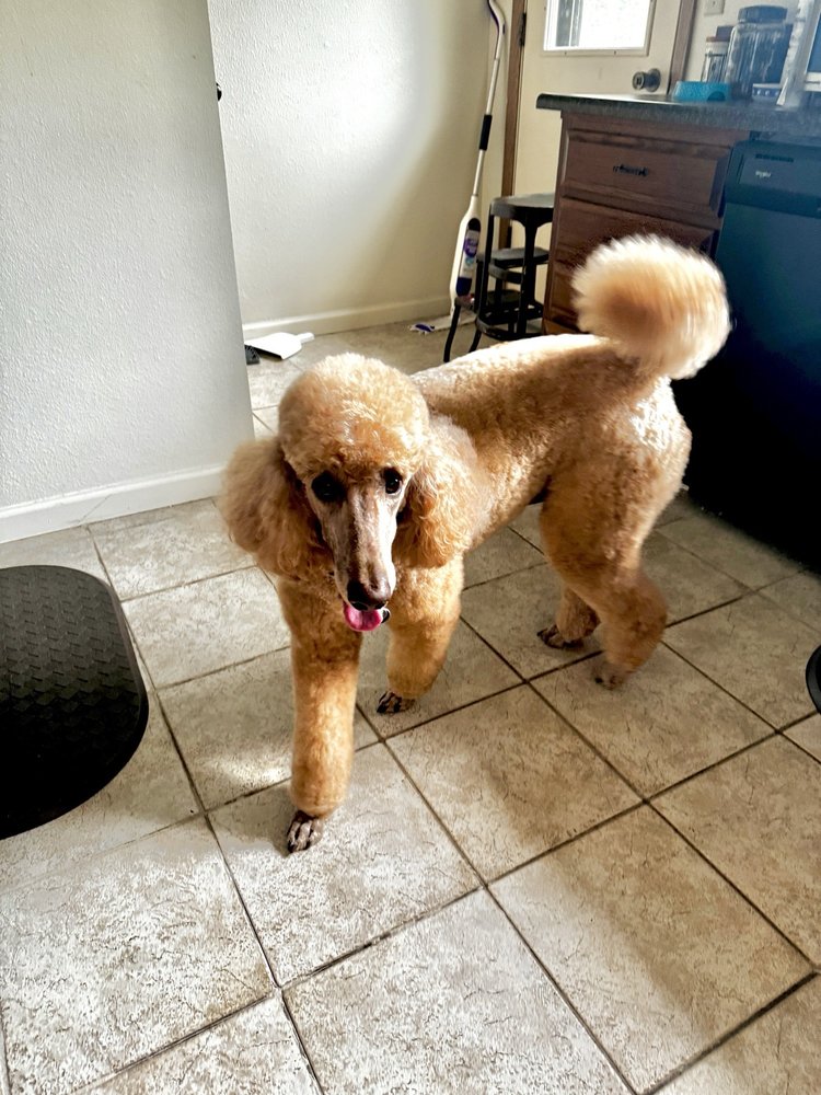 THE NATURAL PET Updated August 2024 20 Reviews 500 Muldoon Rd