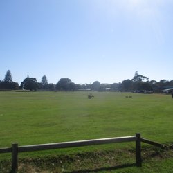 Friendlies Society Reserve - Oval