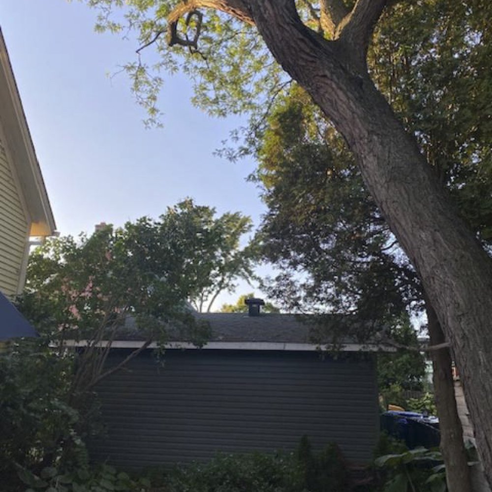 C & D Excavating and Tree Service - Tree Services Near Me - Cornwall, Ontario