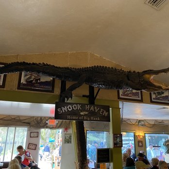Snook Haven - Big Hank! - Barbeque Near Me - Venice, Florida Snook Haven - Big Hank! - Barbeque Near Me - Venice, Florida