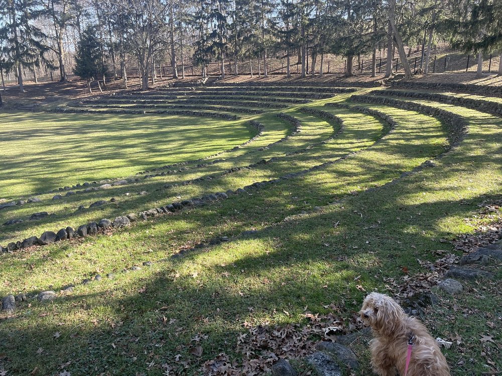 Social spots from Thornden Park