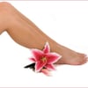 The Lash Lounge gift card