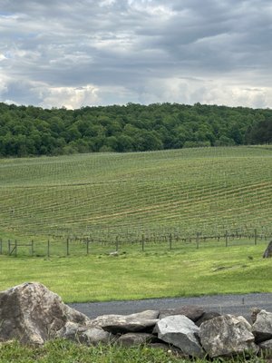 Blue Valley Vineyard and Winery by null