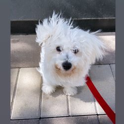 Ruff Range Dog Park