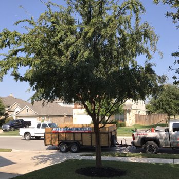 HCTT - After Roland and team front yard - Tree Services Near Me - Round Rock, Texas HCTT - After Roland and team front yard - Tree Services Near Me - Round Rock, Texas
