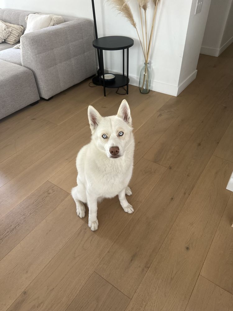 Slide of Green Development & Construction