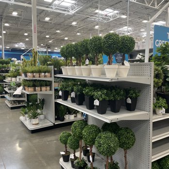 At Home - Faux plants - Home Decor Near Me - San Jose, California At Home - Faux plants - Home Decor Near Me - San Jose, California