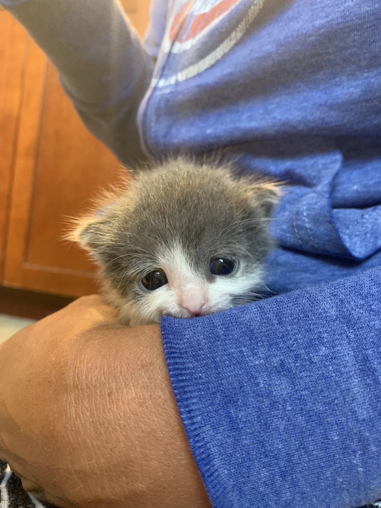 LAW OFFICE OF AL BEAUDREAU Updated August 2024 11340 W 159th St