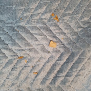 Camelback Moving - Movers Near Me - Phoenix, Arizona