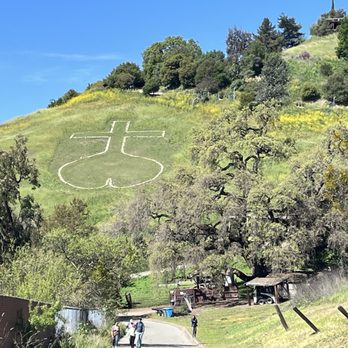 The Dragon Mountain Thien Long Son - Parks Near Me - Milpitas, California The Dragon Mountain Thien Long Son - Parks Near Me - Milpitas, California