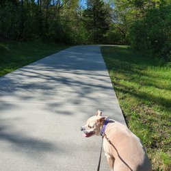 Meadowmere Park - Walking trail