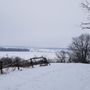 Photo of Magnolia Bluff Park