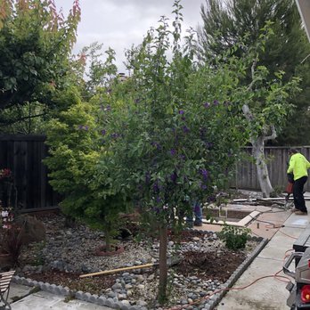 Martinez Junk Removal - Landscape Architects or Designers Near Me Martinez Junk Removal - Landscape Architects or Designers Near Me