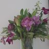 The Crimson Petal gift card