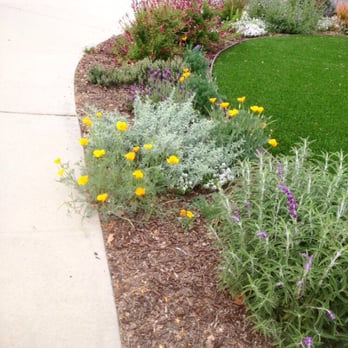 Edgardening and Tree Service - Artificial grass and drought tolerant plants in Thousand Oaks - Tree Services Near Me Edgardening and Tree Service - Artificial grass and drought tolerant plants in Thousand Oaks - Tree Services Near Me