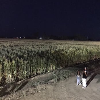 Cool Patch Pumpkins - Pumpkin Patches Near Me - Dixon, California