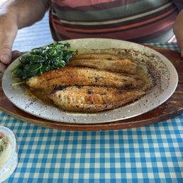 Broiled fluke with spinach Special.