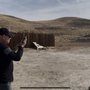 Photo of Ares Tactical Firearms