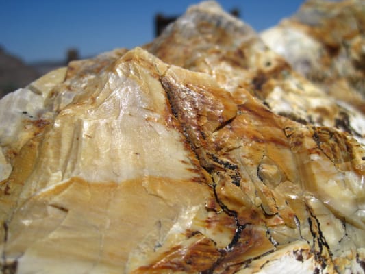 Wanapum Recreation Area by null