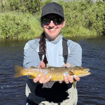North Park Anglers - Brown - Sporting Goods Near Me - Walden, Colorado North Park Anglers - Brown - Sporting Goods Near Me - Walden, Colorado