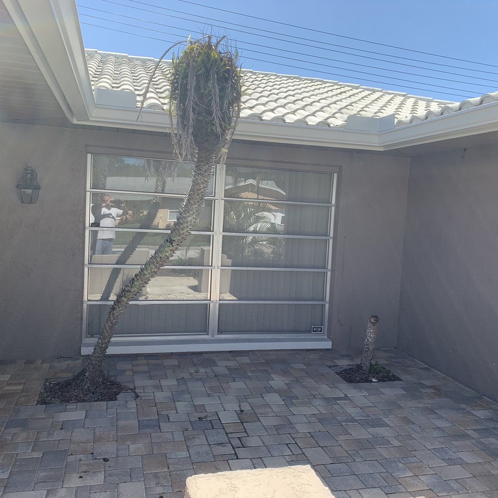 All Clear Landscaping and Tree Service - Before - Tree Services Near Me - Clearwater, Florida