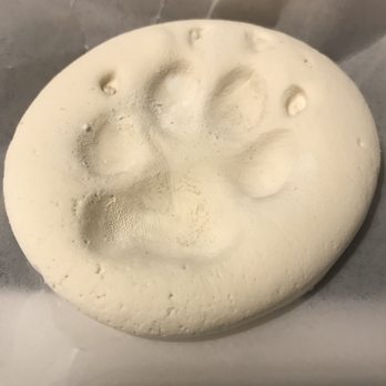 Lap Of Love - Annie's clay paw print - Veterinarians Near Me Lap Of Love - Annie's clay paw print - Veterinarians Near Me