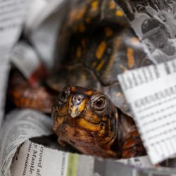 Second Chance Wildlife Center