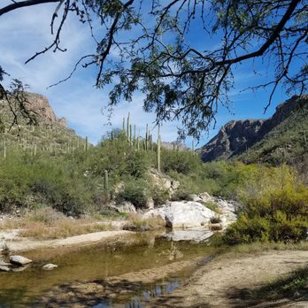 Sabino Canyon - TRANQUILITY! - Parks Near Me - Tucson, Arizona Sabino Canyon - TRANQUILITY! - Parks Near Me - Tucson, Arizona