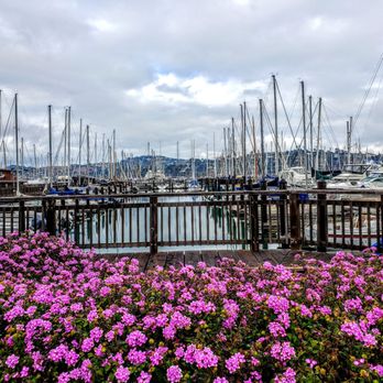 Pelican Harbour - Beautiful Day ! - Boating Near Me - Sausalito, California Pelican Harbour - Beautiful Day ! - Boating Near Me - Sausalito, California