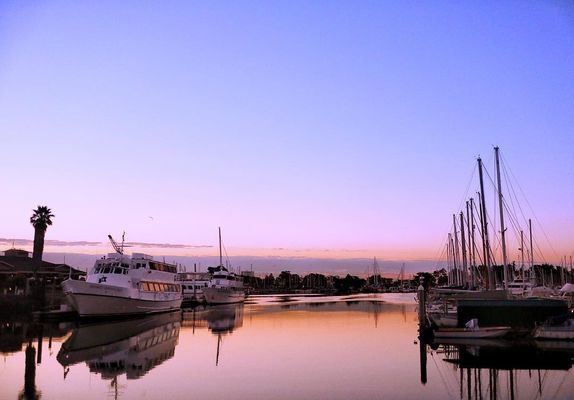 City Cruises by null