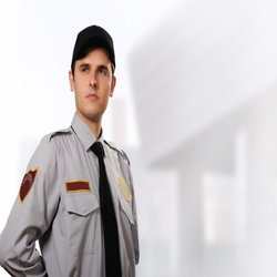 Brixton Protective Services