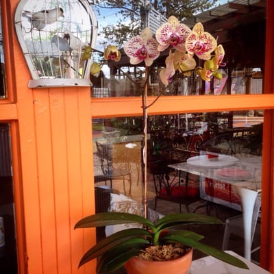 Voo La Voo Cafe by null