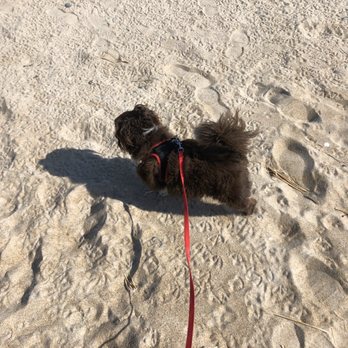 Tripoli Pizza - Buddy at Salisbury beach - Pizza Near Me - Salisbury, Massachusetts