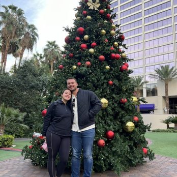 Flamingo Las Vegas - Christmas tree - Hotels Near Me - Las Vegas, Nevada Flamingo Las Vegas - Christmas tree - Hotels Near Me - Las Vegas, Nevada