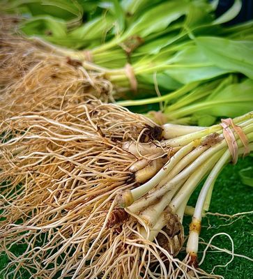 Evanston Farmers' Market by null