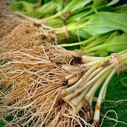 Evanston Outdoor Farmers Market - May 3, 2025 Ramps