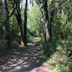 Adair Park Disc Golf Course - Hole 10