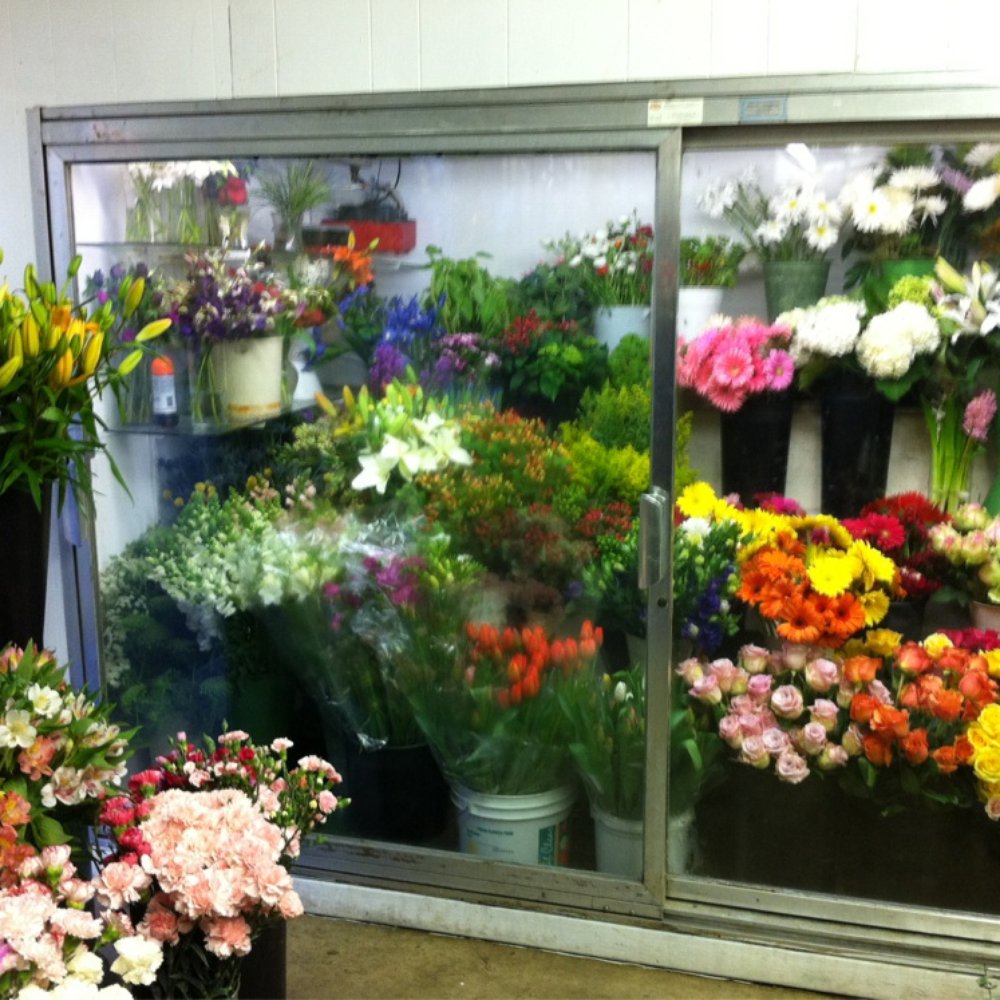 Toyo Griffith Park Florist - Part of their selection - Florists Near Me - Los Angeles, California Toyo Griffith Park Florist - Part of their selection - Florists Near Me - Los Angeles, California