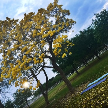 Kendall Soccer Park - Parks Near Me - Miami, Florida Kendall Soccer Park - Parks Near Me - Miami, Florida