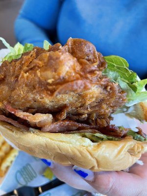 Shake Shack Austin, Domain by null