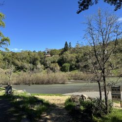 Del Rio Woods