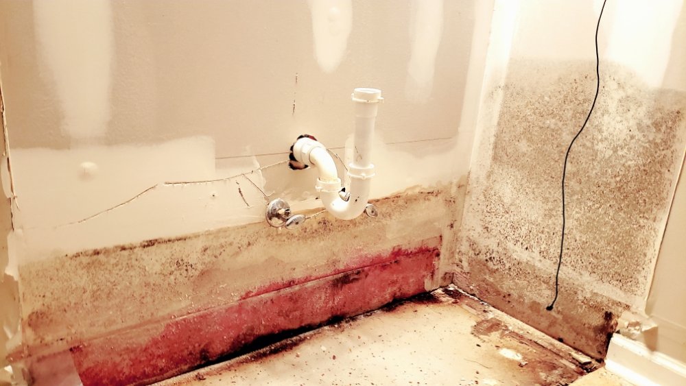 Superb Sanitation - mold inspector in Kennesaw, GA