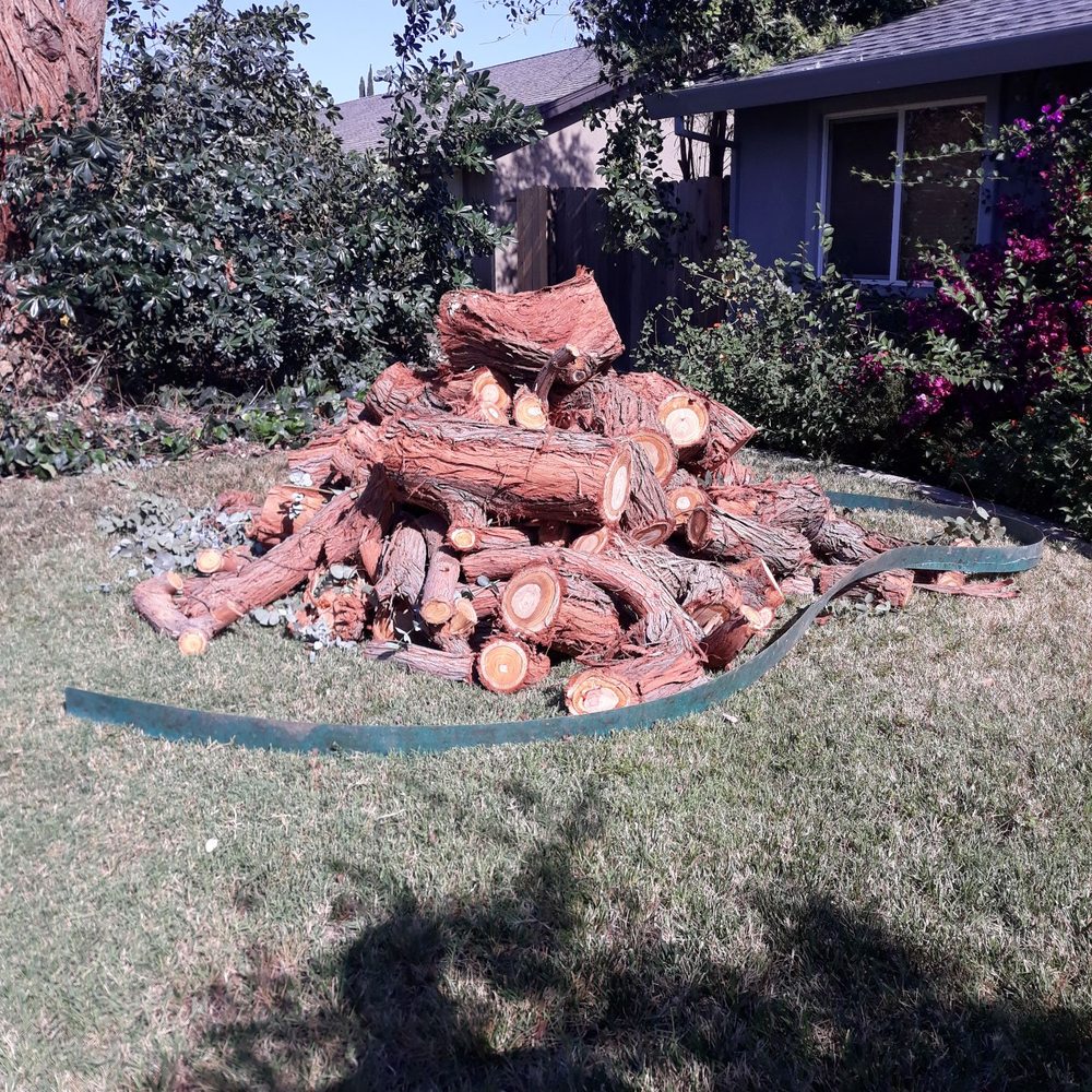 Big T's Trees - Firewood. - Tree Services Near Me