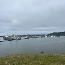 Makah Marina