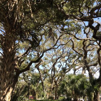 St. Augustine Lighthouse & Maritime Museum - The trees and grounds are amazing. - Museums Near Me - Saint Augustine, Florida St. Augustine Lighthouse & Maritime Museum - The trees and grounds are amazing. - Museums Near Me - Saint Augustine, Florida