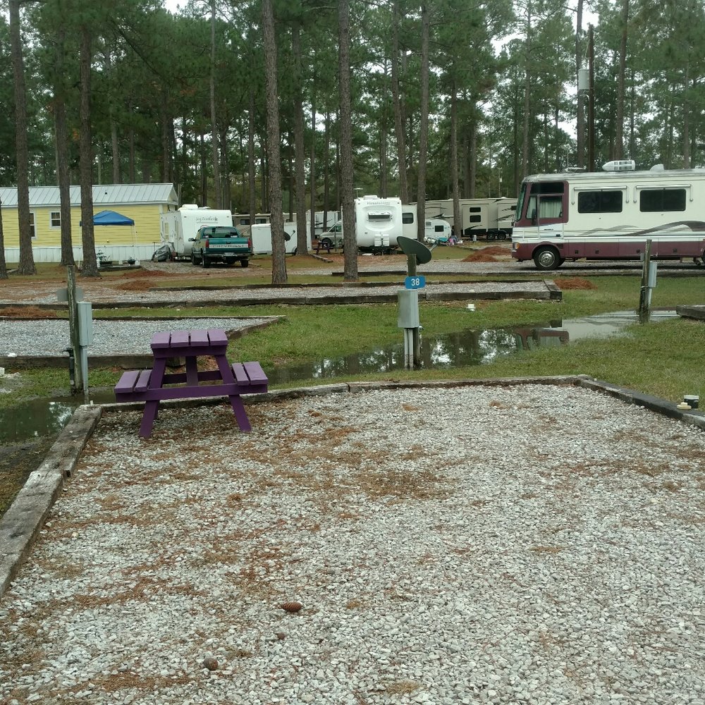 Sunroamers Rv Resort Park - Another pick of the sewage backing up on multiple sites. - RV Parks Near Me - Picayune, Mississippi Sunroamers Rv Resort Park - Another pick of the sewage backing up on multiple sites. - RV Parks Near Me - Picayune, Mississippi