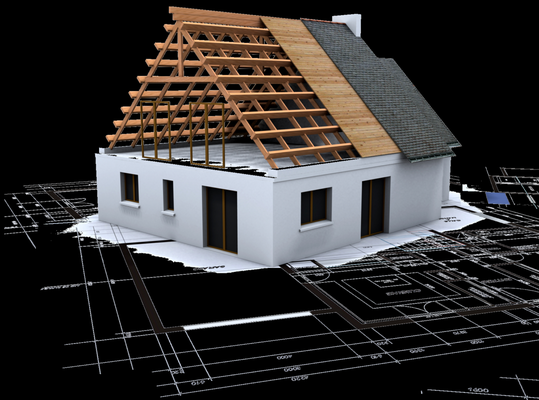 B.L.G. Inspection Service