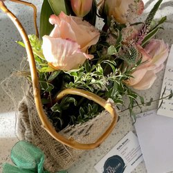 VaVa Bloom - Presentation on point